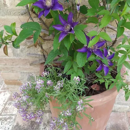 La Casaccia 3* Mercatello (Marsciano)