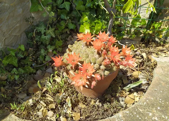 La Casaccia 招待所 Mercatello (Marsciano)